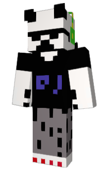 Minecraft skin DJ6006
