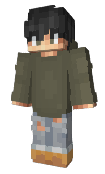 Minecraft skin vxlen